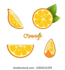 Orange. Set of fresh whole, half, cut slice orange fruit isolated on white background. Tangerine. Organic fruit. Flat style. Vector illustration for any design.