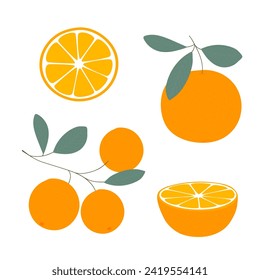 Orange. Set of fresh whole, half, cut slice of orange isolated on white background. Tangerine. Organic fruits. Flat style. Vector illustration
