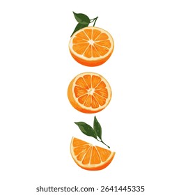 Orange. Set aus frischem ganzen, halb geschnittenen Orangenfrucht. Bio-Obst. Vektorgrafik für jedes Design.