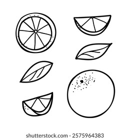 Orange Set. Hand drawn Vector doodle elements of whole Fruit, Cut orange Slices, Citrus Leaves. Black and White line art isolated on a white background. For product packaging, menu, logos.