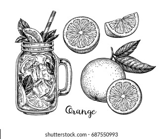 Orange set. Isolated on white background. Hand drawn vector illustration. Retro style ink sketch.