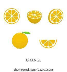 Orange set isolated.Vector illustration vegan concept
