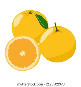 Orange, Set of orange with leaf isolated on white background, Orange vector illustration.