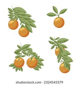 Conjunto naranja. Bandas naranjas sobre fondo blanco. Ilustración vectorial.