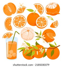 Orange set vector illustration. Cartoon isolated whole citrus fruit, with or without peel, cut into juicy slices and peeled, sweet vitamin juice glass with straw, orange plant with tropical flower