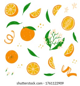 Orangefarbenes Set. Ganze, geschnittene, halbe, orangefarbene Teile, Blumen, Blätter, Schale, Vektorgrafik-Kollektion für Muster-Design-Vorlage