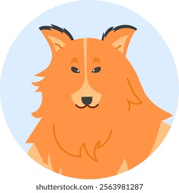 Orange Shetland sheepdog with pointy ears and a black nose gazing forward within a light blue circle, featuring a simple and flat vector illustration style