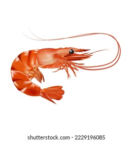 Orange shrimp icon in flat style, fresh seafood isolated on white background, vector illustration