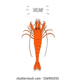 Orange shrimp vector logo isolated on white background. Hand drawn seafood design icon illustration for sushi restaurant menu or signboard. Prawn. Japanese marine products.