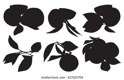 Orange silhouette with leaf