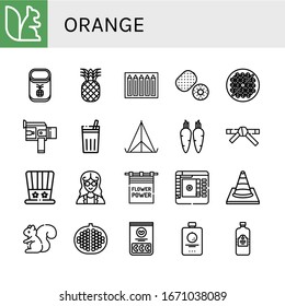 orange simple icons set. Contains such icons as Squirrel, Pineapple, Color pencils, Kiwi, Bean toasting, Super, Chicha de frutilla, Tent, can be used for web, mobile and logo