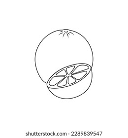 Orange with simple lines on white background. Editable outline strokes.