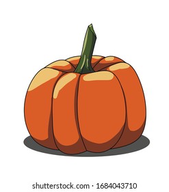 Orange single pumpkin isolated on white bakcground
