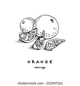 Orange Sketch