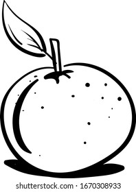 Orange sketch, illustration, vector on white background.