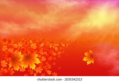 orange sky with falling leaves in autumn season, autumn background.