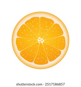 Rodaja de naranja. Una hermosa rodaja de cítricos. Vector aislado objeto de patrón.