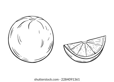 Naranja y rodaja. Ilustración vectorial en blanco y negro, boceto, lápiz y tinta, dibujo de línea libre para logotipos, patrones, diseño de alimentos. Sobre un fondo blanco aislado