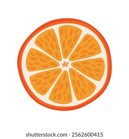 Orange slice of citrus. Abstract tangerine fruit circle. Vector illustration on white