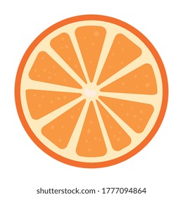 orange slice citrus fruit on white background vector illustration design