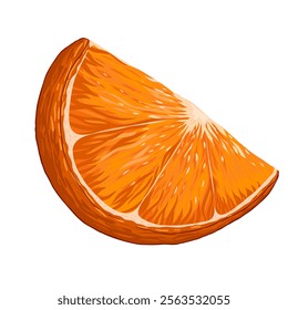 Orange slice clip art. Organic fruit for juice or vitamin C healthy food. Vector illustration isolated on white background.