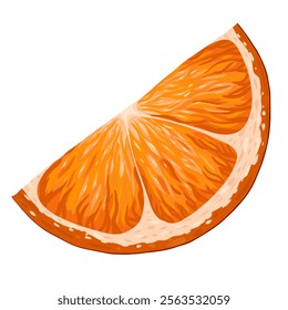 Orange slice clip art. Organic fruit for juice or vitamin C healthy food. Vector illustration isolated on white background.