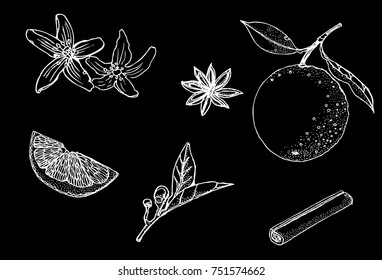 orange, slice, flower , cinnamon, chalk white background , vector illustration