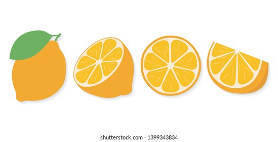Orange slice, front view of cut orange. Vector illustration