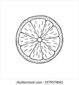 Orange slice fruit. Hand drawn doodle style. Vector illustration icon isolated on white background. Spicy, food ingredient, mulled wine component. EPS 10.