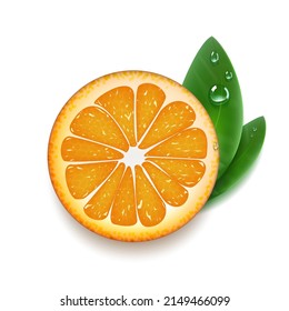 Salto Naranja Con Hojas Verdes De Agua Aislada En Blanco. Vector EPS10