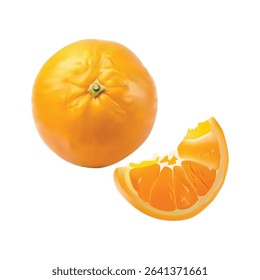 Orange Slice illustration on white backgorund vol 01