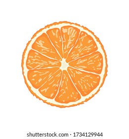 orange slice isolated on white background illustration vector eps10