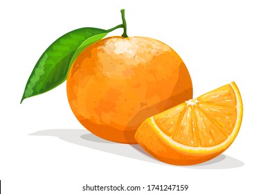 Orange with slice isolated on white background. Vector illustration