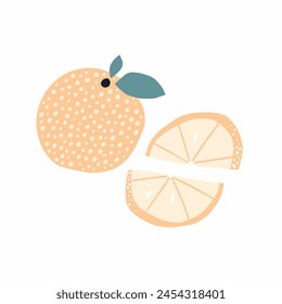 Orange and orange slice isolated on white background. Vector illustration