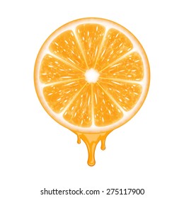 Orange slice isolated on white. EPS10 vector