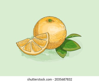 Orange, slice and leaf watercolor with ink solid outline. Juicy, fresh fruit.
