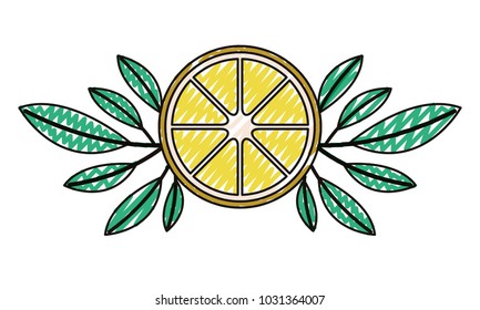 orange slice with leafs fresh and citrus fruit