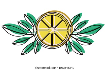 orange slice with leafs fresh and citrus fruit