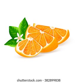 Orange slice with leaves isolated on white background. Vector illustration for decorative poster, emblem natural product, farmers market. Perfect for packaging design of cosmetics and food.