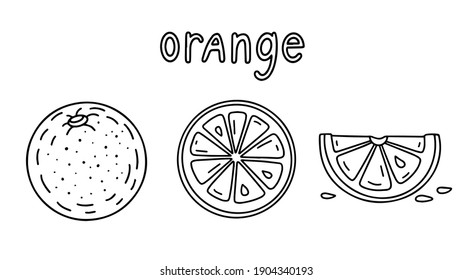 Orange, orange slice, lettering black and white vector illustration.