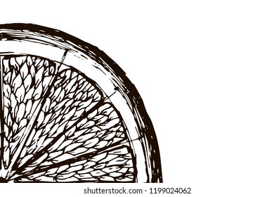 Orange slice on white background. Hand-drawn, doodle, vector, zentangle, tribal design element. Black and white background. Made by trace from sketch. Coloring book page for adult.