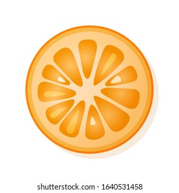 Orange slice on white background. Juicy ripe orange. Vector illustration.