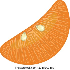 Orange slice on white background