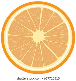 Orange slice on the white background. Vector illustration.
