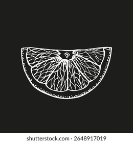 Orange slice - outline illustration. Citrus plant sketch drawing in engraving style. Hand drawn floral vector clipart. Culinary, wellness, garden, and healing