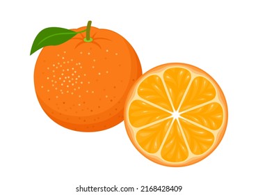 Orange and slice vector icon. Cartoon flat illustration of fresh citrus fruit.