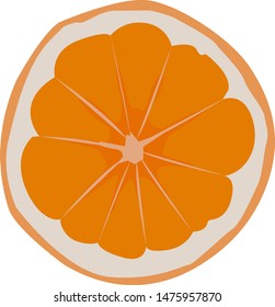 Orange slice vector illustration on white background