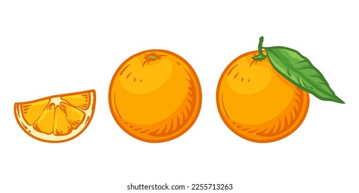 Orangefarbene und orangefarbene Scheibe. Vektorgrafik von Orangen einzeln auf weißem Hintergrund.