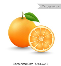 Orange and slice vector isolated