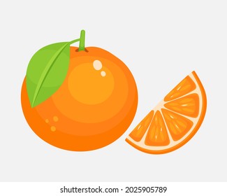 Orange and orange slice. Vector juicy illustration isolated on white background.